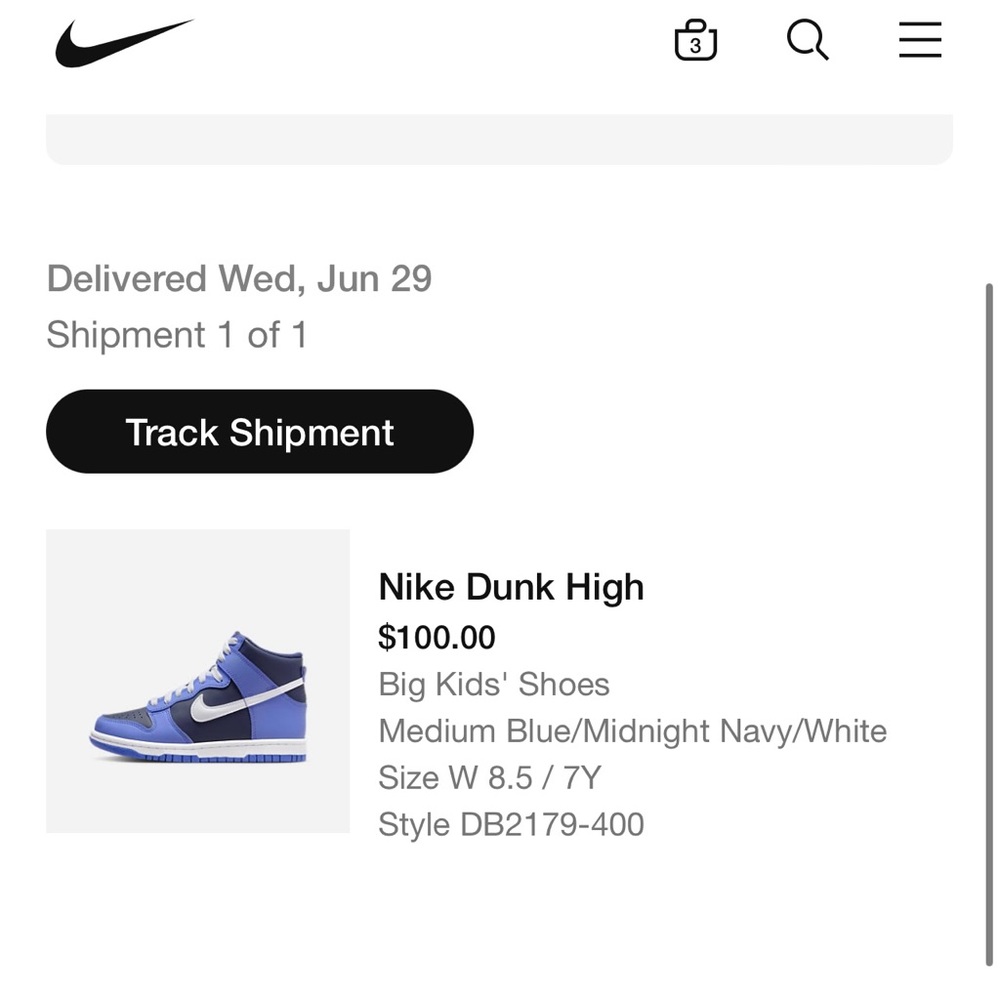 Nike Dunk Hightops